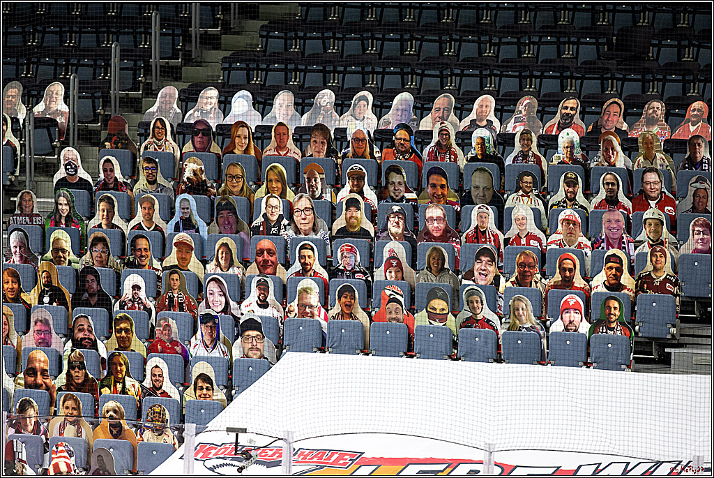 PENNY DEL;  Koelner Haie - Fischtown Pinguins Bremerhaven; Koeln, 12.02.2021